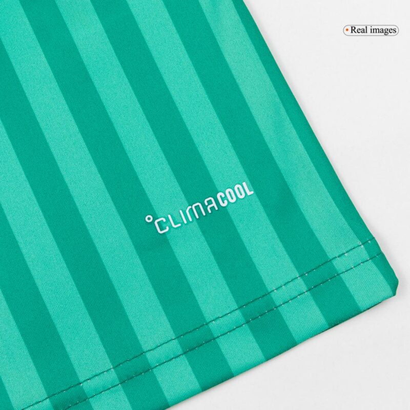 Algeria Away Soccer Jersey World Cup 2026 Green