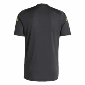 Argentina Pre-Match Training Jersey Replica 2024/25