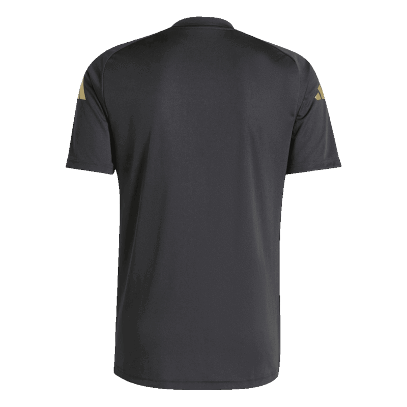 Argentina Pre-Match Training Jersey Replica 2024/25
