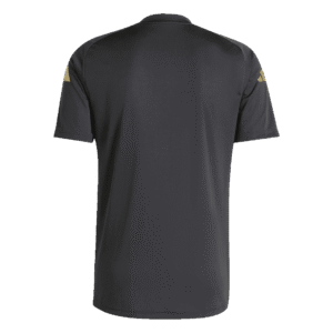Argentina Pre-Match Soccer Jersey Copa America 2024