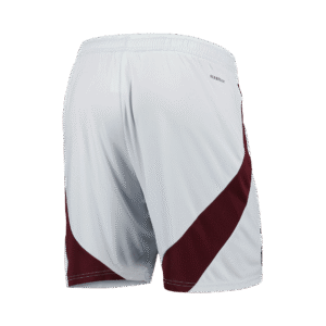 Ajax Third Away Soccer Shorts 2024/25