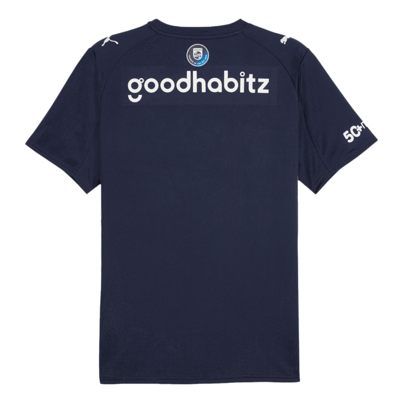 PSV Eindhoven Away Soccer Jersey 2025/26