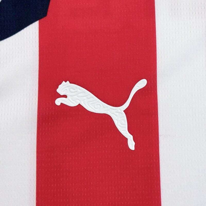 Chivas Home Soccer Jersey 2025/26