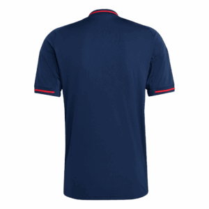 Olympique Lyonnais Away Sleeveless Jersey 2025/26