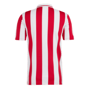 Olympiacos Soccer Jersey 2024/25 - 100th Anniversary