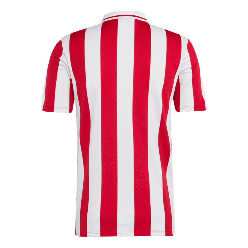 Olympiacos Soccer Jersey 2024/25 - 100th Anniversary
