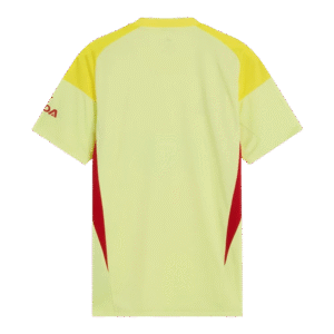 Arsenal Goalkeeper Soccer Jersey 2025/26 Yellow