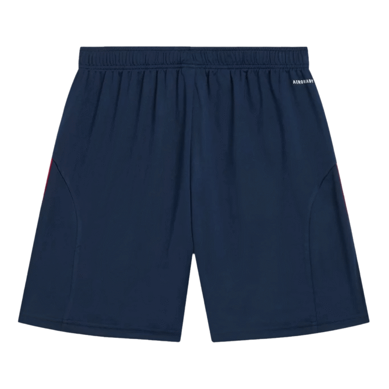 Arsenal Away Soccer Shorts 2025/26