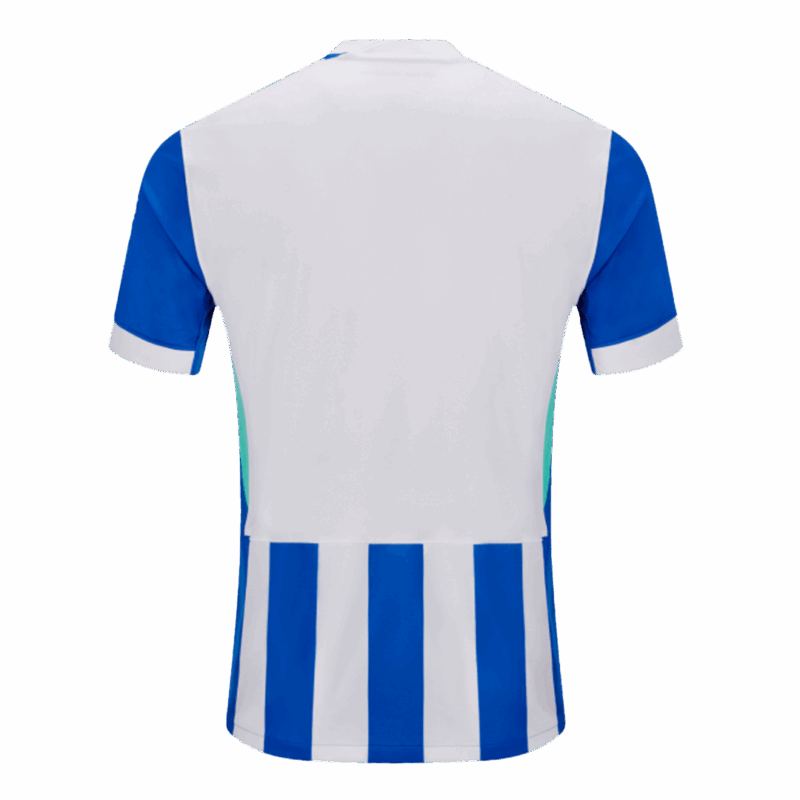 Brighton & Hove Albion Home Sleeveless Jersey 2025/26