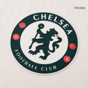 PALMER #10 Chelsea Away Authentic Soccer Jersey 2025/26 - UCL
