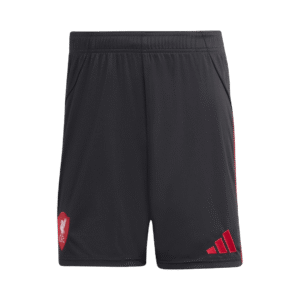 Liverpool Away Jerseys Kit 2025/26
