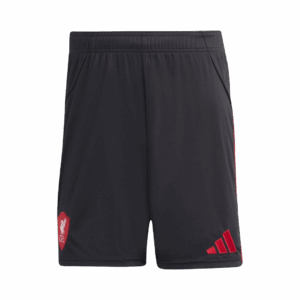 Liverpool Away Jerseys Kit 2025/26