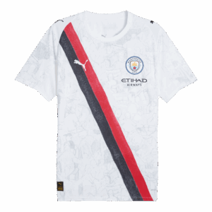 Manchester City REIJNDERS #4 Soccer Jersey 2025/26