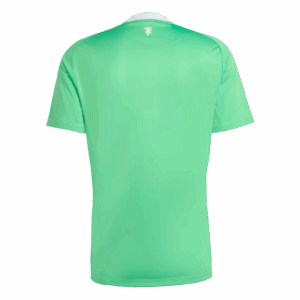 Manchester United Goalkeeper Soccer Jersey 2025/26 Green