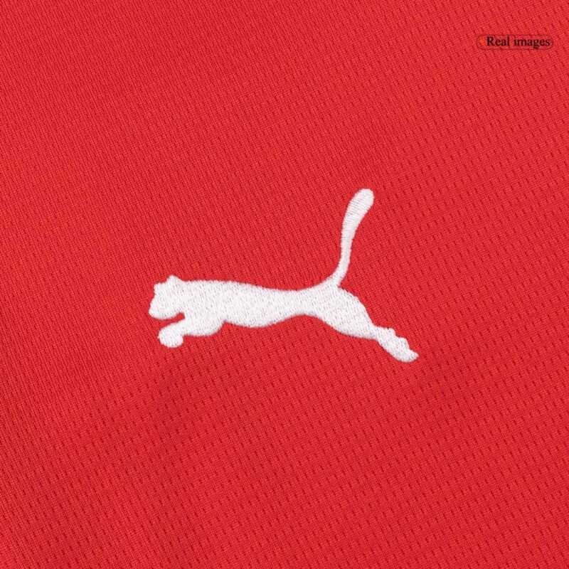 642374_7 GREGORITSCH#11 Austria Home Soccer Jersey World Cup 2026 Red