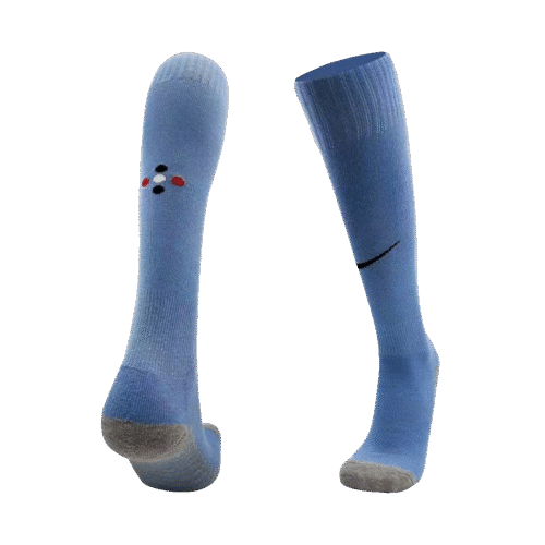Portugal Away Soccer Socks 2024