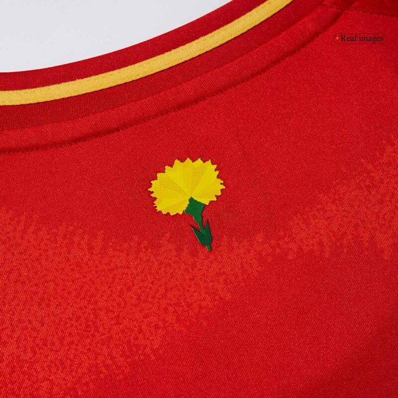 Spain Home Soccer Jersey Replica 2024