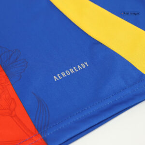 Spain Pre-Match Soccer Jersey EURO 2024 Blue
