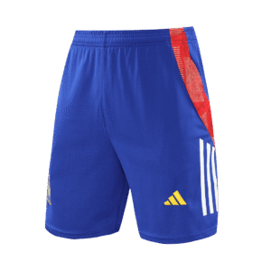 Spain Pre-Match Soccer Shorts 2024