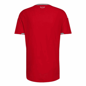 624598_2 Wales Home Soccer Jersey World Cup 2026 Red